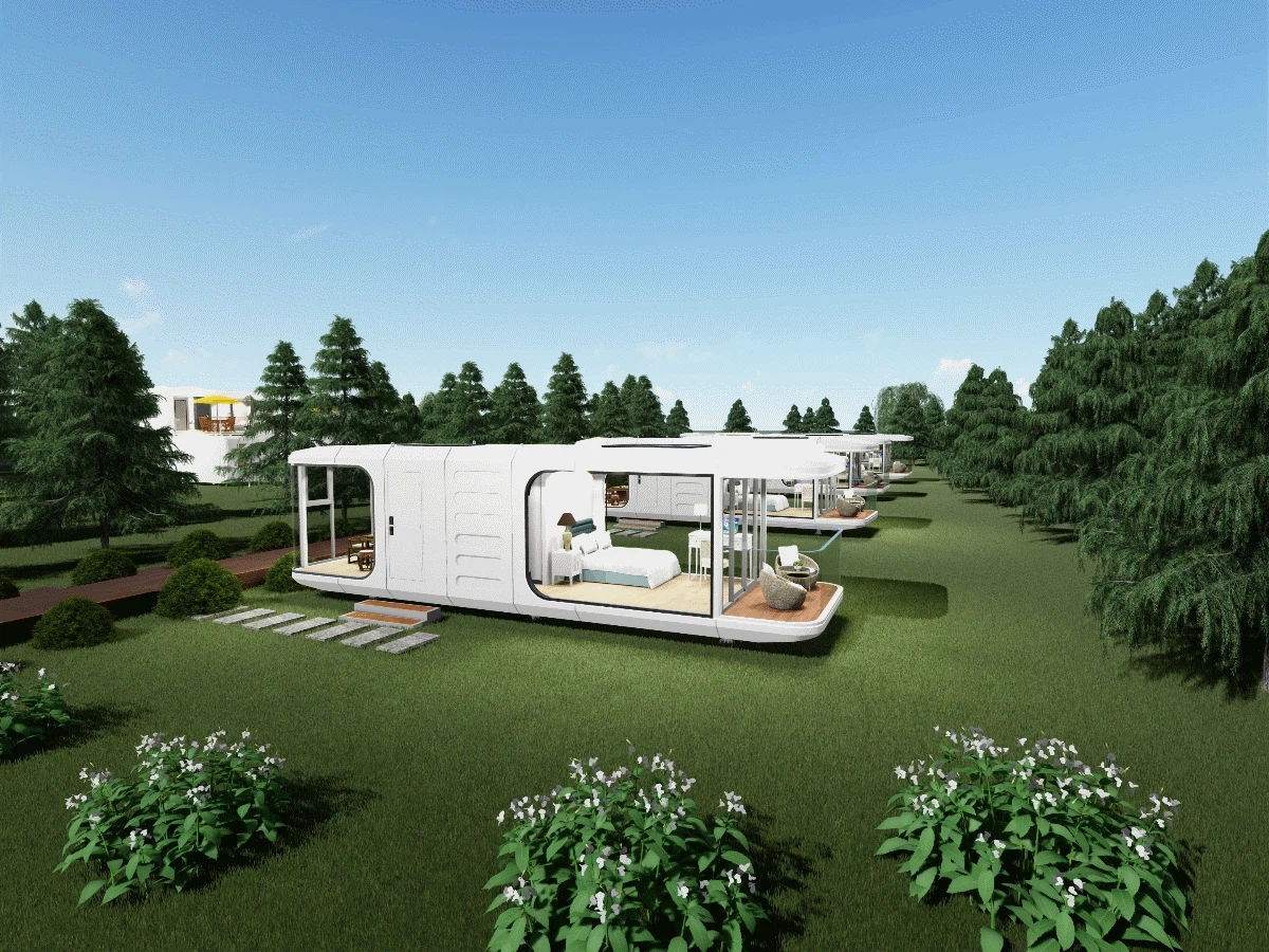 p2024110613262661755